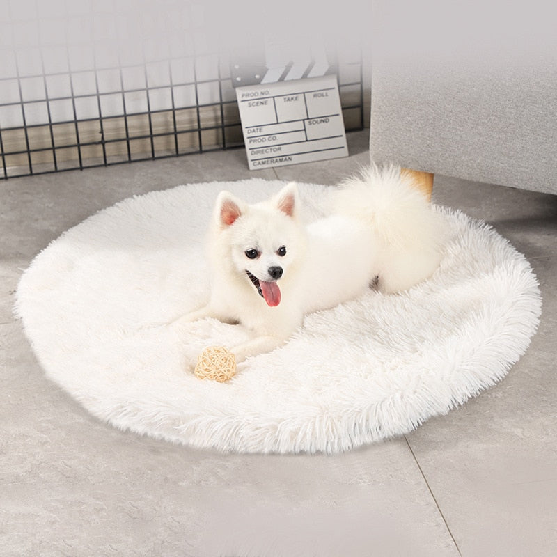 Round Dog Bed